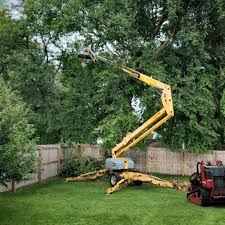 Seasonal Cleanup (Spring/Fall) in Elizabethtown, PA