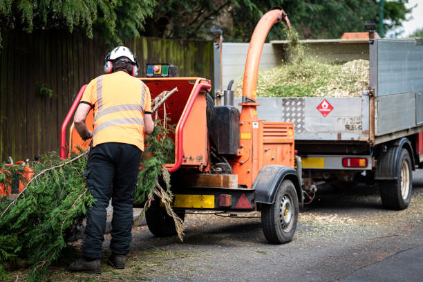  Elizabethtown, PA Tree Services Pros