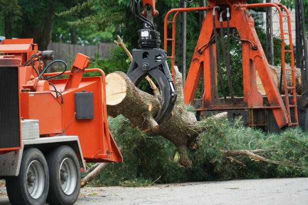 Best Weed Control  in Elizabethtown, PA